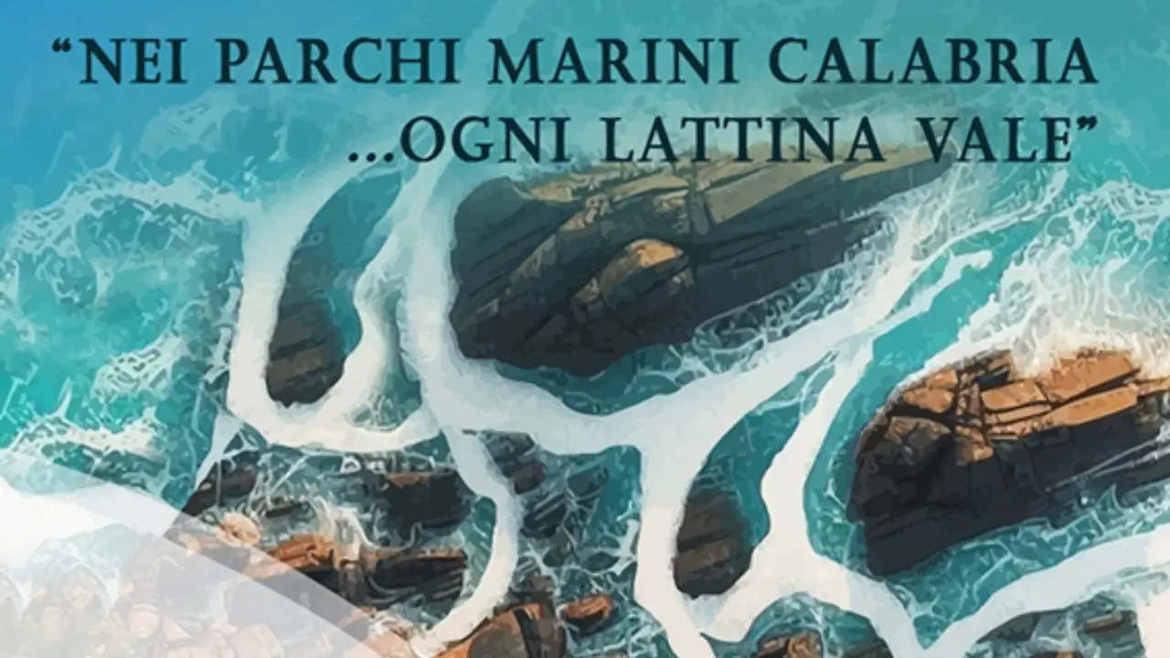 \"Ogni lattina vale\"... anche sulle spiagge del Vibonese. Ecco i Comuni aderenti
