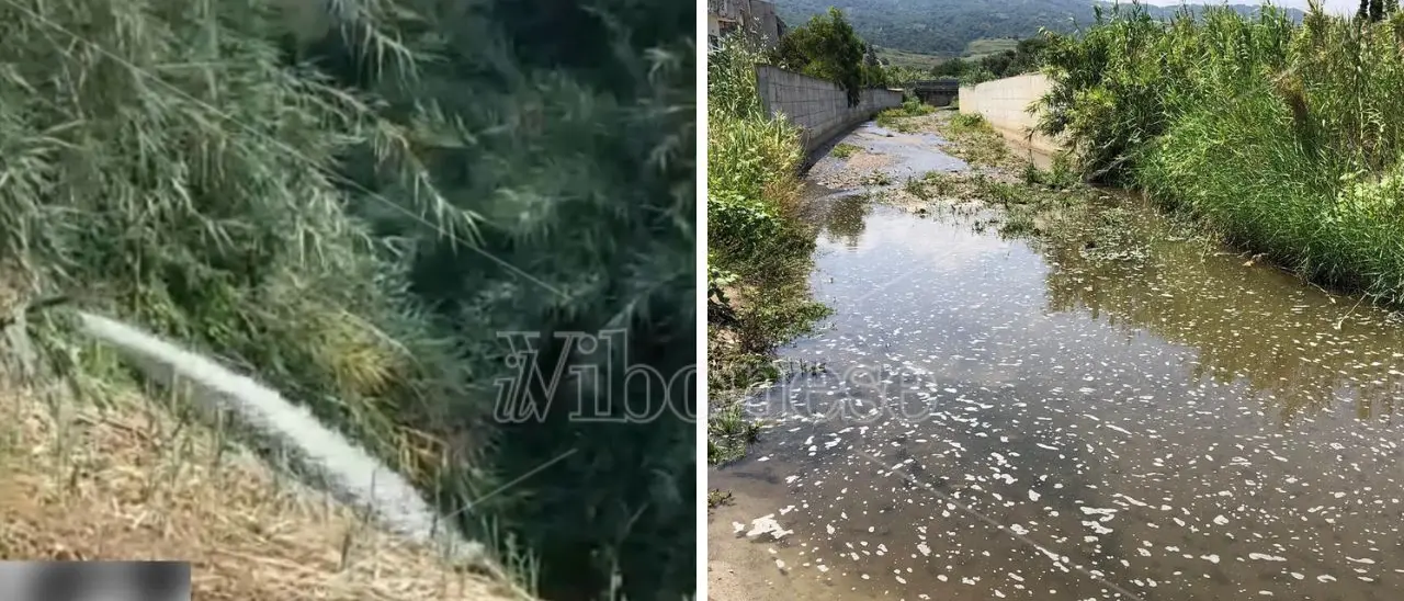 Ecco il depuratore Silica che scarica nel torrente Sant’Anna: il VIDEO che dimostra cosa arriva a mare