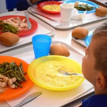 Vibo, scuola dell’infanzia senza mensa: genitori avvertiti con un «trafiletto whatsapp»