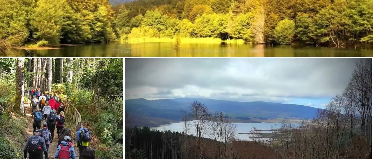 Natura, storia e trekking: nuovo percorso alla scoperta di Monte Pecoraro con “Vivi Serra San Bruno”