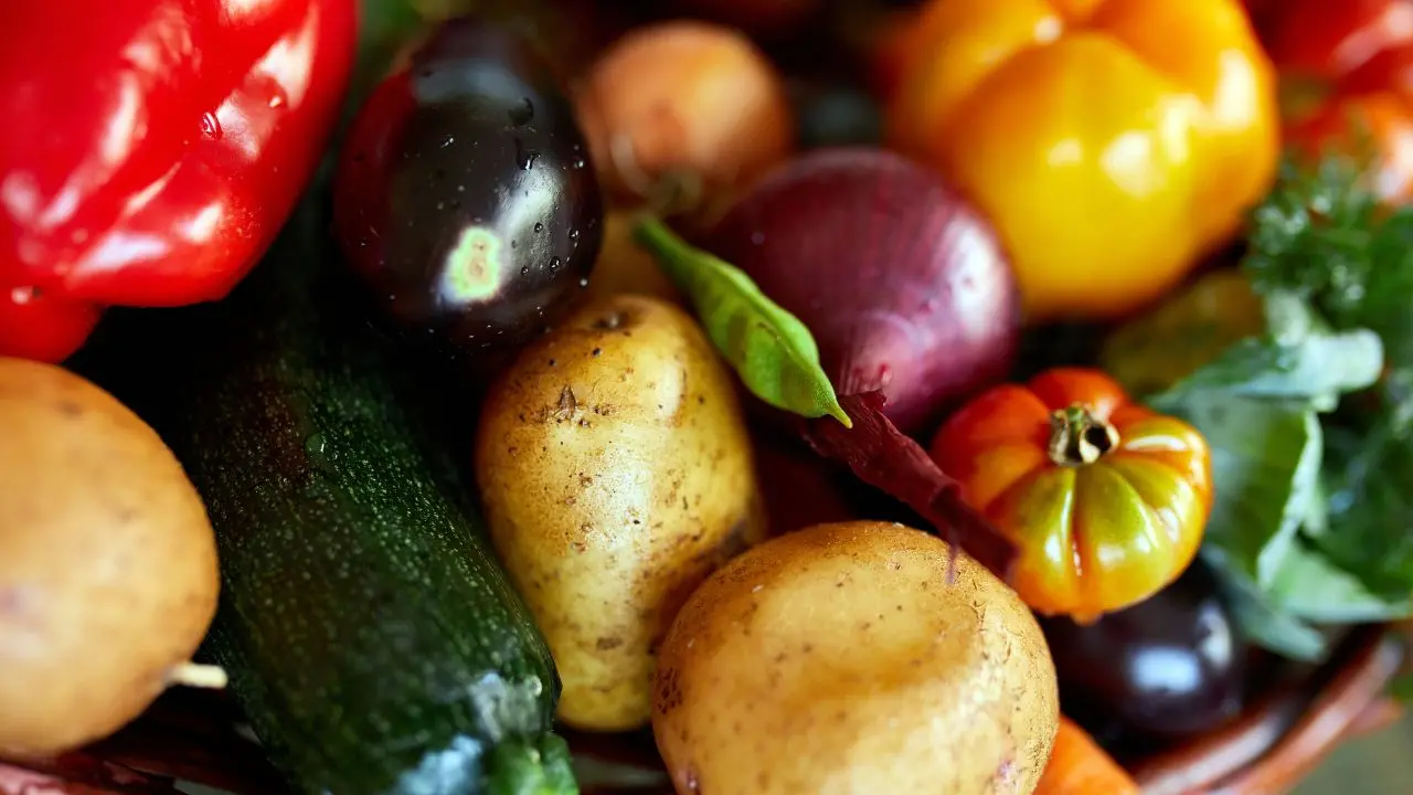 Com'è cambiata l'alimentazione dopo la scoperta dell'America: lo mostra uno show-cooking a Soriano