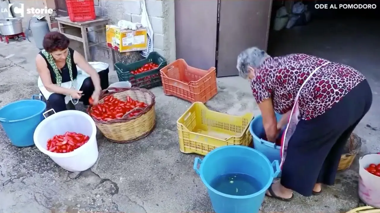 L’estate in bottiglia, nel Vibonese c’è ancora chi fa i pomodori a casa: rito che un tempo univa tre generazioni - VIDEO