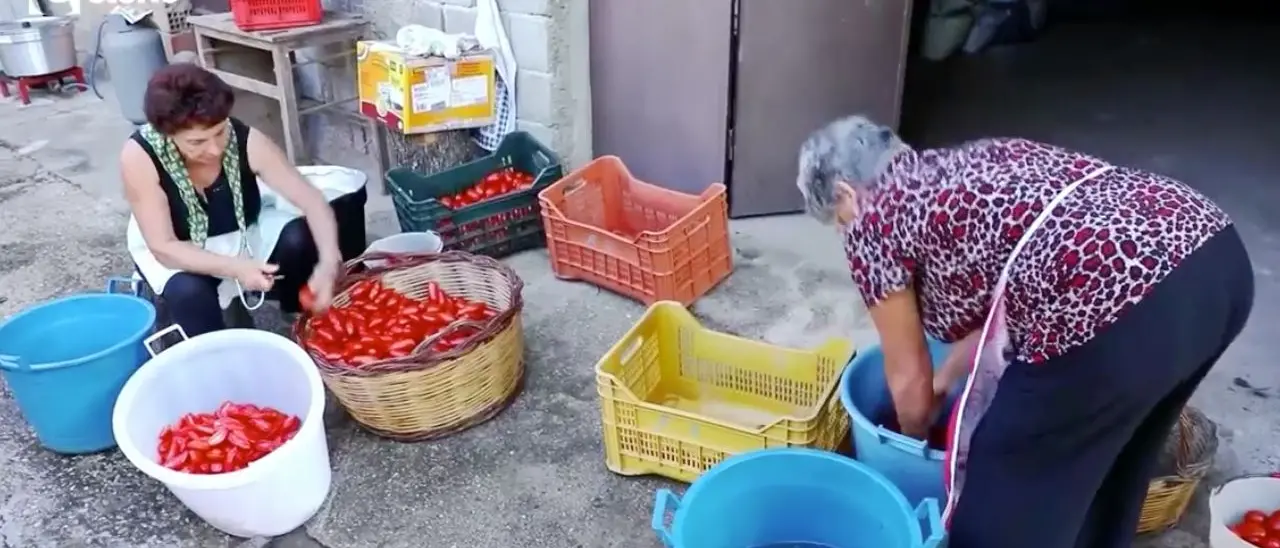 L’estate in bottiglia, nel Vibonese c’è ancora chi fa i pomodori a casa: rito che un tempo univa tre generazioni - VIDEO