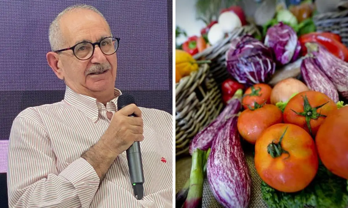 Alla Biblioteca comunale di Vibo la presentazione del libro “Dieta Mediterranea\" curato dall'antropologo Vito Teti