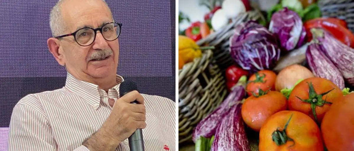 Alla Biblioteca comunale di Vibo la presentazione del libro “Dieta Mediterranea\" curato dall'antropologo Vito Teti