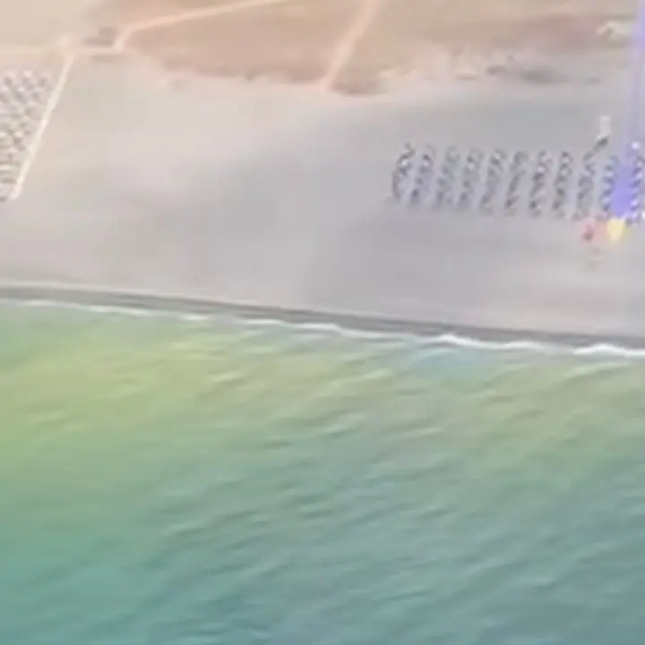 Mare verde da Pizzo a Lamezia: 60 cittadini preoccupati finanziano analisi private. Ecco i risultati