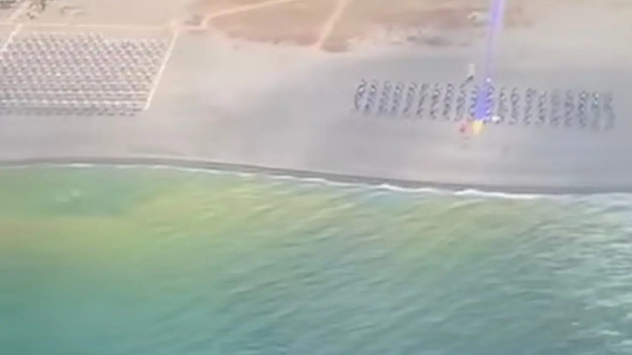 Un comitato contro il “mare verde”: dopo l'ultima disastrosa estate, da Pizzo a Lamezia gli imprenditori turistici si coalizzano per avere una sola voce