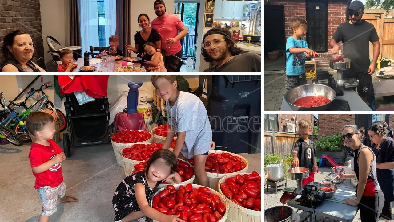 Pomodori fatti in casa? That’s amore! In Canada non c’è famiglia di origine calabrese che non li faccia. Ecco cosa succede