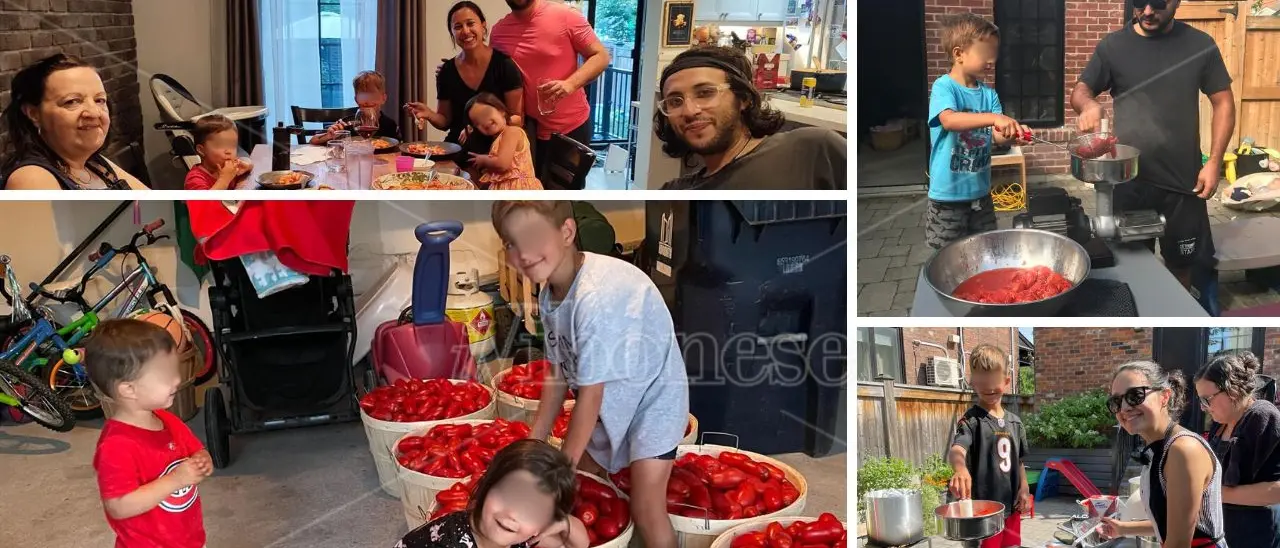 Pomodori fatti in casa? That’s amore! In Canada non c’è famiglia di origine calabrese che non li faccia. Ecco cosa succede