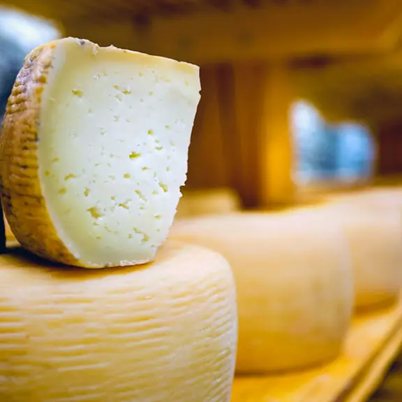 Rombiolo, al via il corso di formazione di esperto casaro