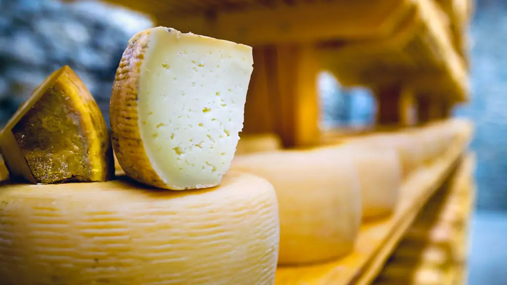 Cogal Monte Poro: «Tutto pronto per riconoscimento Distretto del cibo»