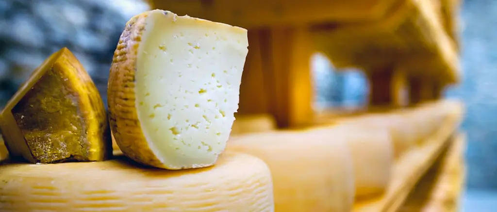 Cogal Monte Poro: «Tutto pronto per riconoscimento Distretto del cibo»