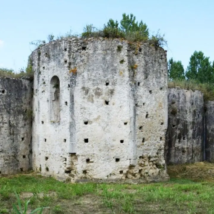 Dinami, il Fai di Vibo alla scoperta del monastero di Soreto tra antiche storie, leggende e... ulivi bianchi