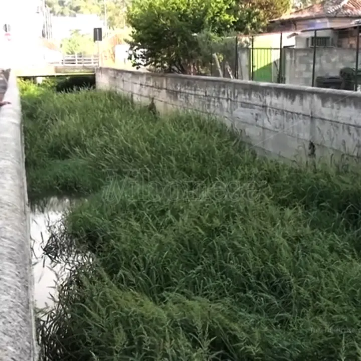 Fosso Antoniucci a Vibo Marina, Tucci: «Emblema del fallimento della politica e delle istituzioni»