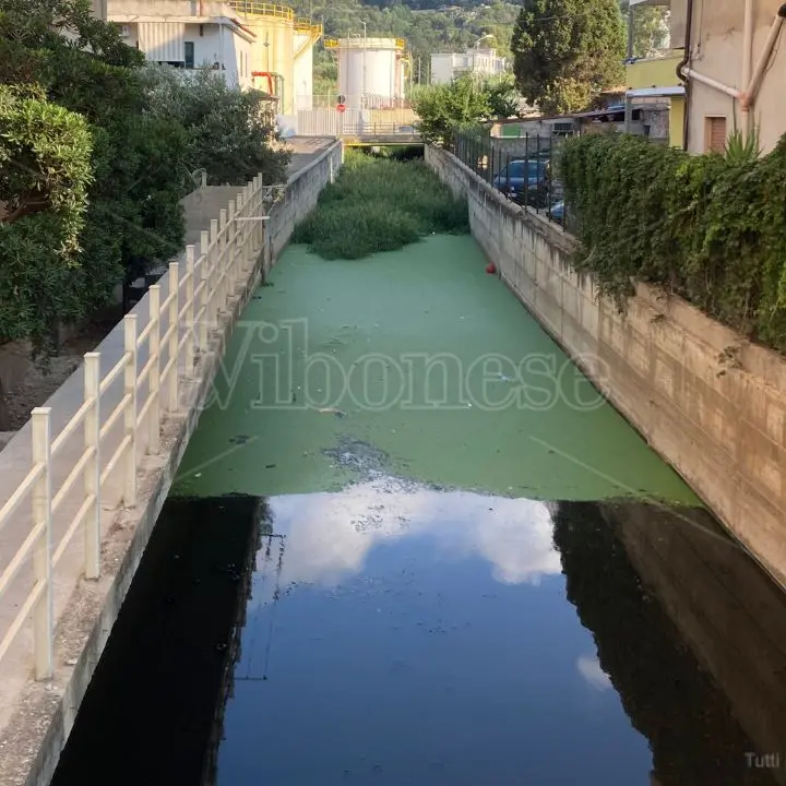 Vibo Marina, il fosso Antonucci è una palude di fogna: acqua nera e stagnante. La rabbia dei residenti: «Costretti a barricarci in casa» -Video