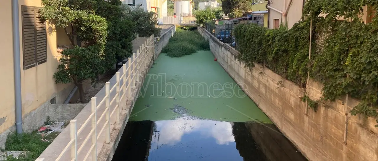 Vibo Marina, il fosso Antonucci è una palude di fogna: acqua nera e stagnante. La rabbia dei residenti: «Costretti a barricarci in casa» -Video