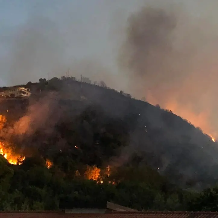 Vibonese nella morsa degli incendi: il vasto rogo di Parghelia domato solo stamattina, in fiamme uliveti a Monsoreto