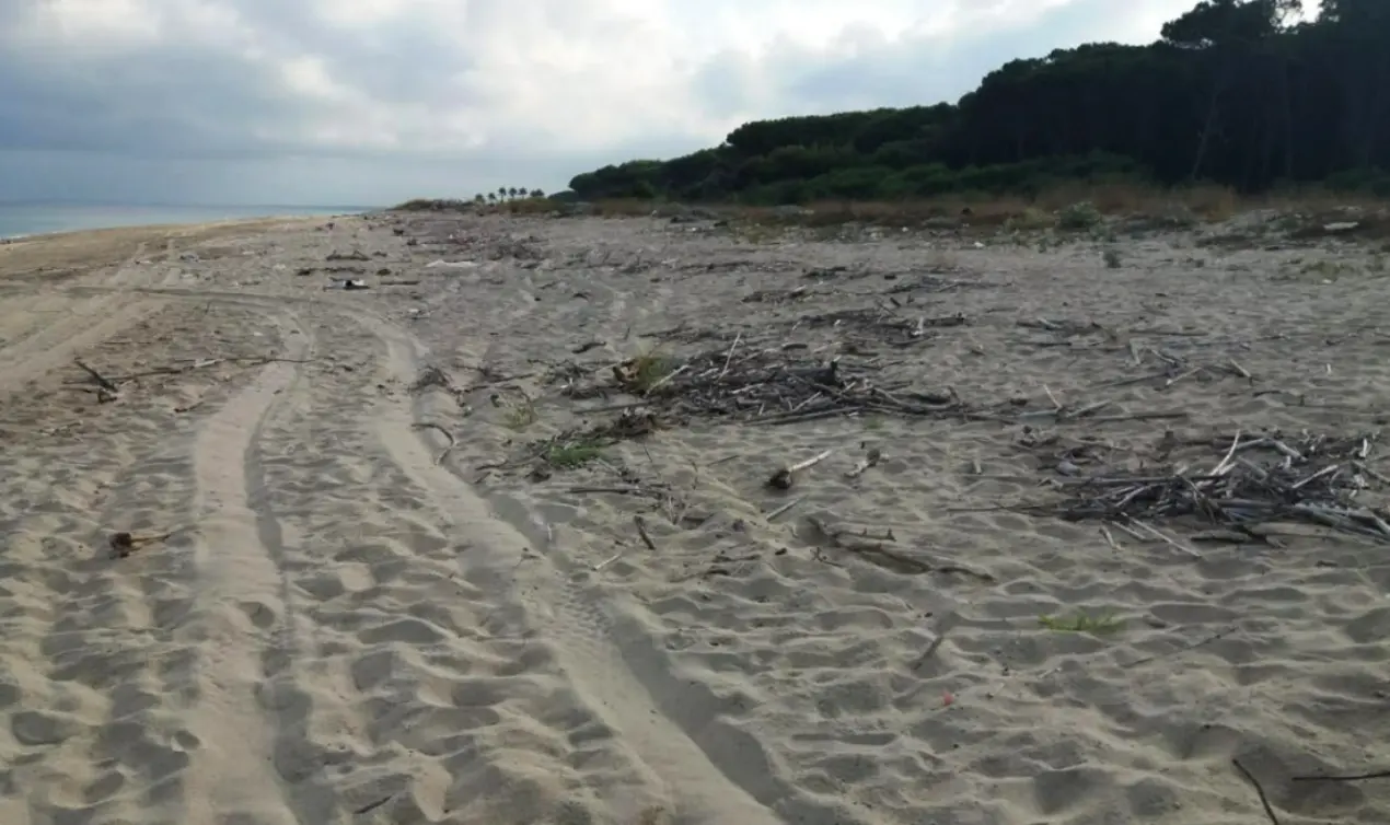 Rifiuti sulla spiaggia di Colamaio a Pizzo, la segnalazione: «Pulizia a metà, l'arenile e la pineta meritano decoro» -Foto