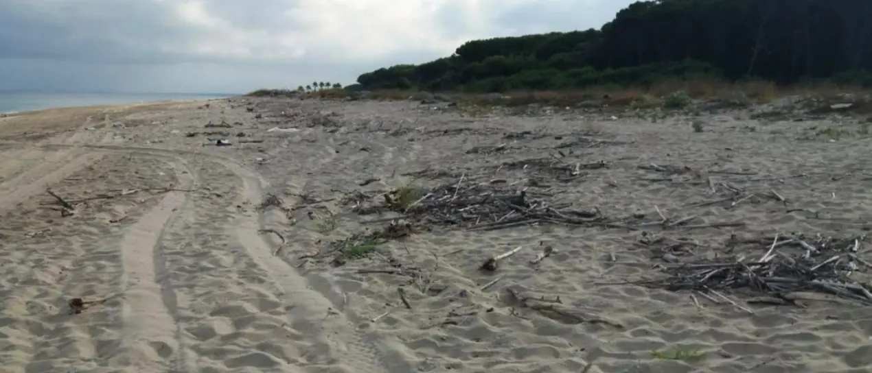 Rifiuti sulla spiaggia di Colamaio a Pizzo, la segnalazione: «Pulizia a metà, l'arenile e la pineta meritano decoro» -Foto