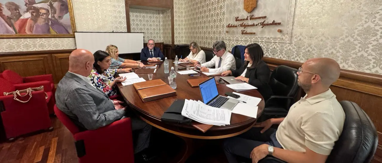 Vibo, la Camera di commercio aderisce al progetto “Rotta di Enea”: «Puntiamo a valorizzare il patrimonio storico e culturale»