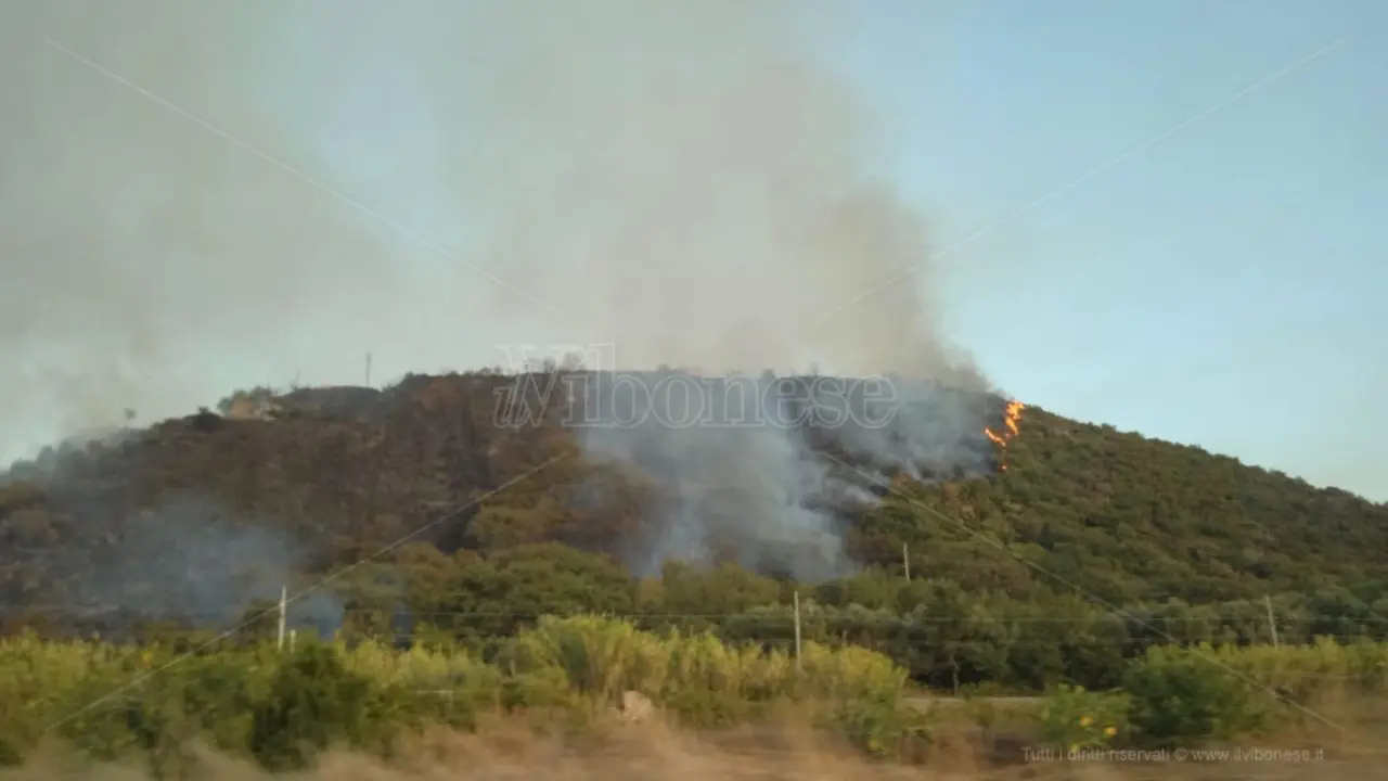 Incendio sulla collina che sovrasta Parghelia, in fiamme diversi ettari di macchia mediterranea e case evacuate