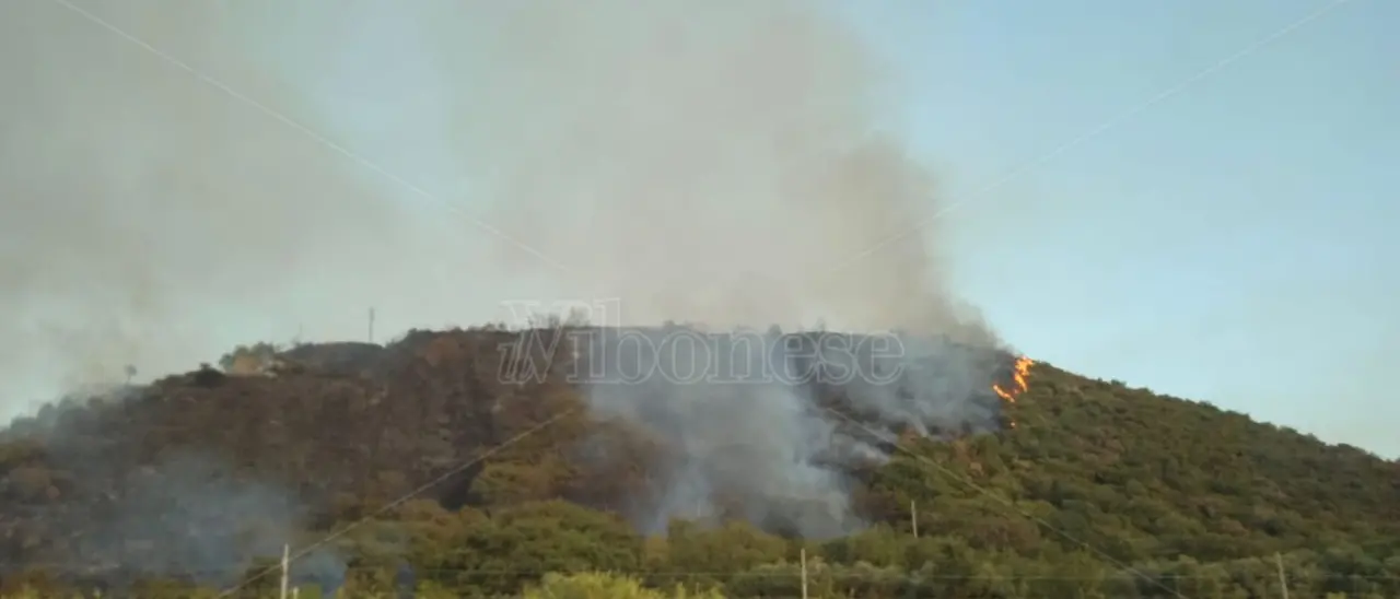 Incendio sulla collina che sovrasta Parghelia, in fiamme diversi ettari di macchia mediterranea e case evacuate