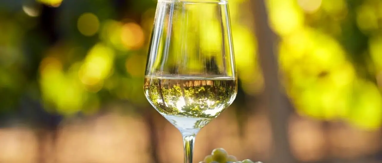 Il vino Zibibbo delle cantine Benvenuto trionfa al Sud Top Wine: primo posto tra i bianchi calabresi