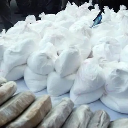 Narcotraffico internazionale: in libertà vibonese arrestato nell’operazione Hermano