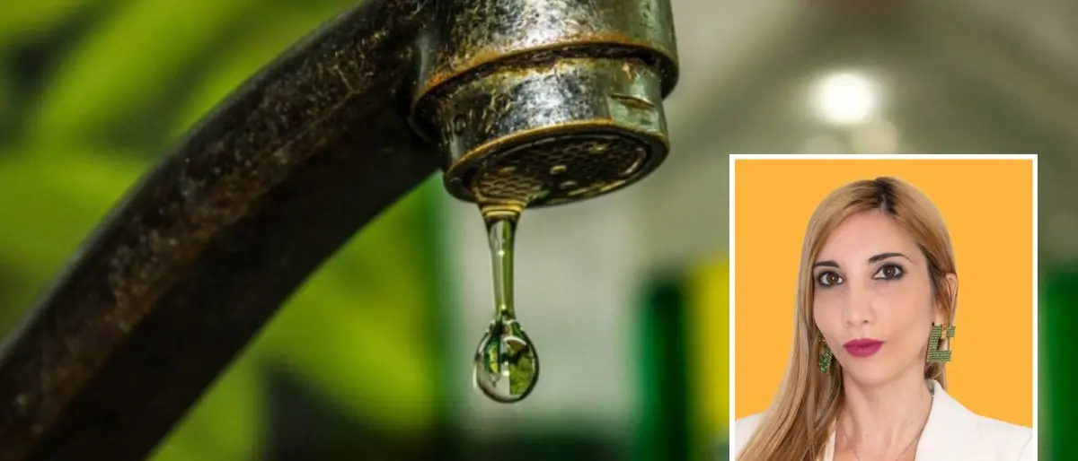 Consiglio comunale di Vibo, Nesci (Centro) contro Romeo: «Dice che l’acqua non è potabile ma non lo mette nero su bianco»