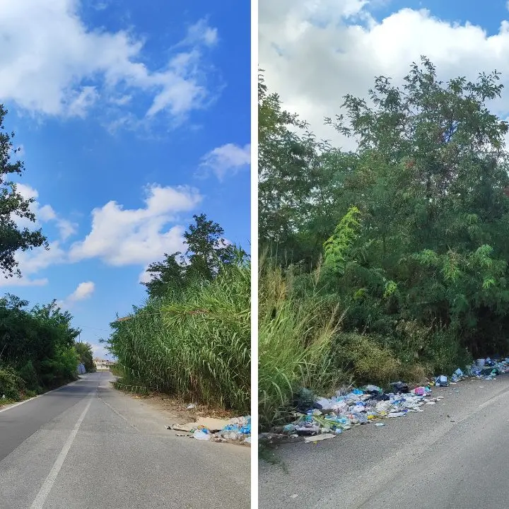 Bivona, l'ex consigliere comunale Termini: «Residenti di contrada San Pietro esasperati tra erbacce e discarica a cielo aperto»