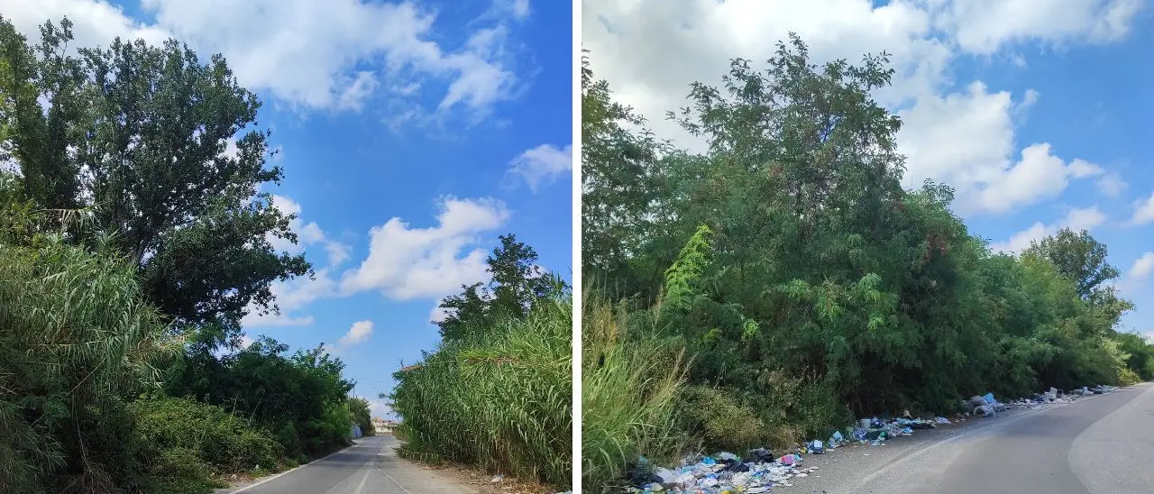 Bivona, l'ex consigliere comunale Termini: «Residenti di contrada San Pietro esasperati tra erbacce e discarica a cielo aperto»