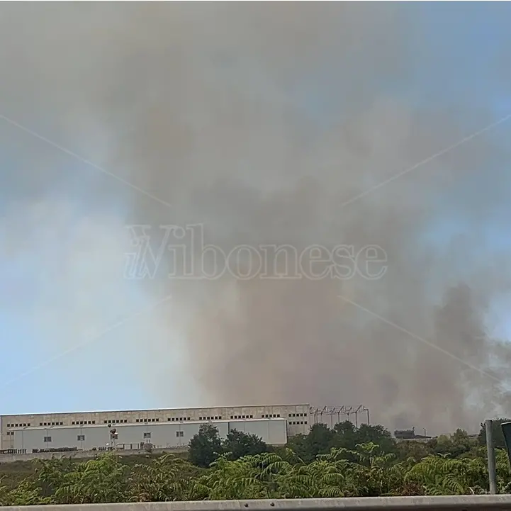 Vibo, incendio a ridosso della zona industriale: le fiamme minacciano un rifugio per cani - Foto