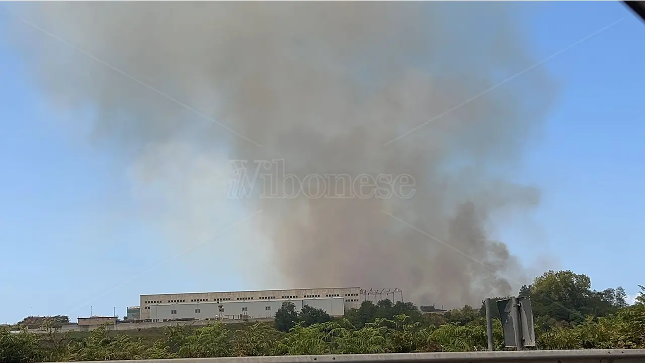 Vibo, incendio a ridosso della zona industriale: le fiamme minacciano un rifugio per cani - Foto