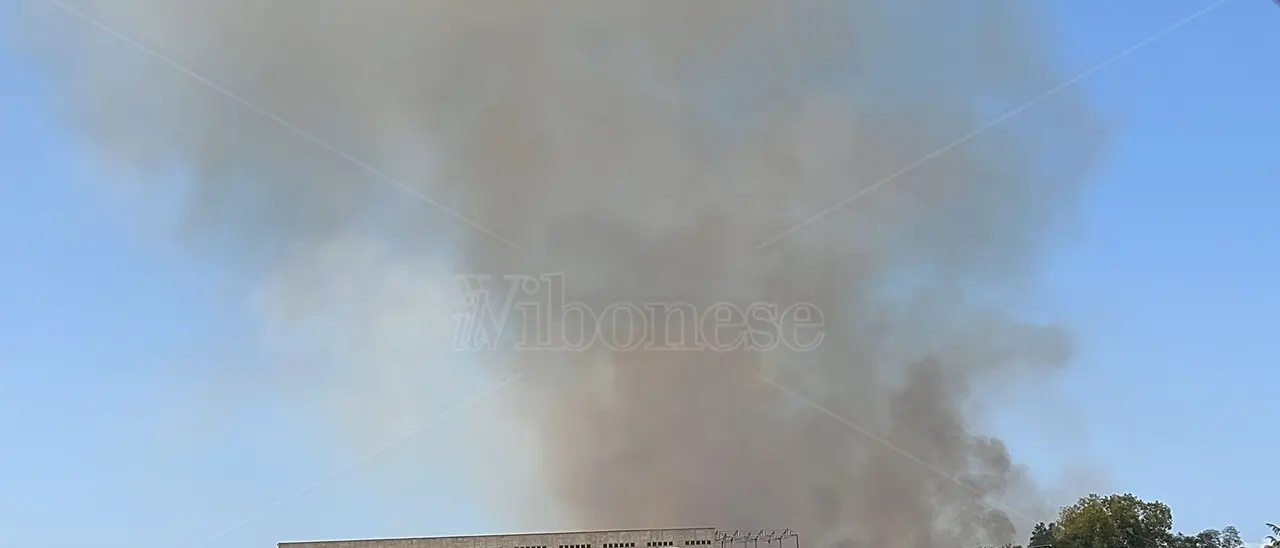 Vibo, incendio a ridosso della zona industriale: le fiamme minacciano un rifugio per cani - Foto