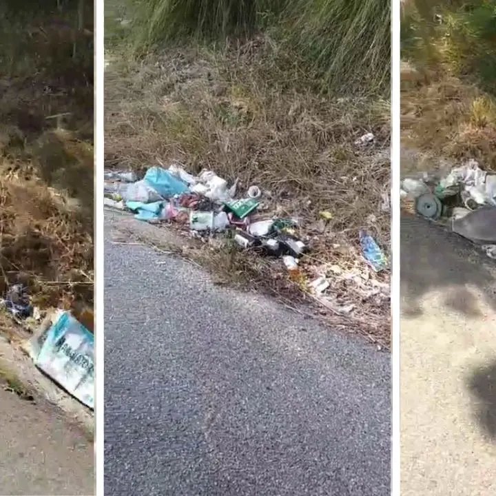La vergogna dei rifiuti abbandonati lungo le strade vibonesi, Calzone (Wwf): «I Comuni possono costringere Anas e Provincia a intervenire» - Video
