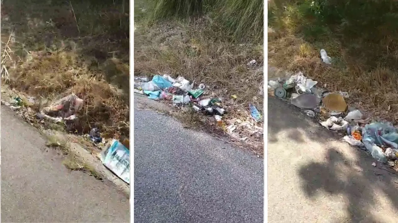 La vergogna dei rifiuti abbandonati lungo le strade vibonesi, Calzone (Wwf): «I Comuni possono costringere Anas e Provincia a intervenire» - Video