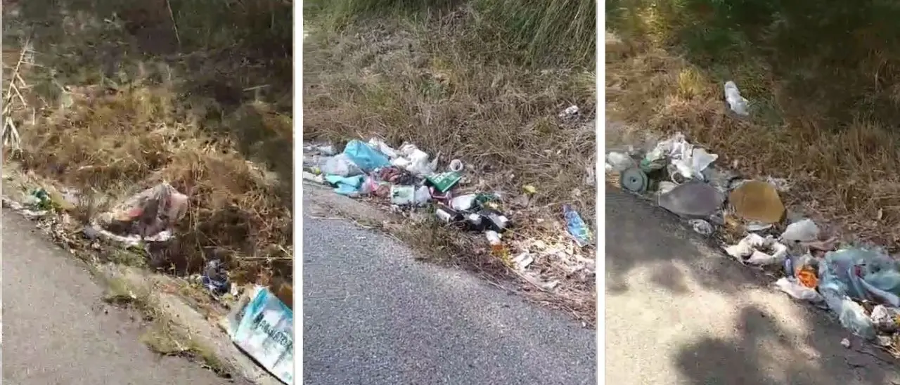 La vergogna dei rifiuti abbandonati lungo le strade vibonesi, Calzone (Wwf): «I Comuni possono costringere Anas e Provincia a intervenire» - Video