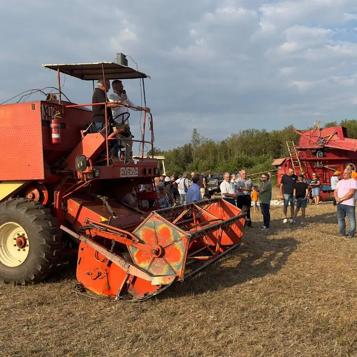 Maierato, la festa della trebbiatura è un inno alla cultura rurale del territorio: chiusa la VII edizione nel segno del grano antico Rosìa