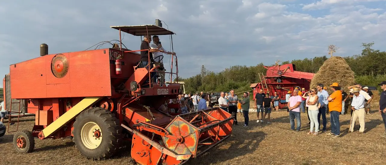 Maierato, la festa della trebbiatura è un inno alla cultura rurale del territorio: chiusa la VII edizione nel segno del grano antico Rosìa