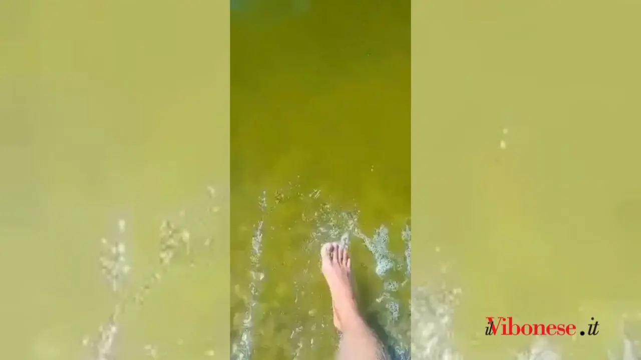 Mare verde, Ferragosto rovinato sul litorale di Pizzo: «Mai vista una cosa così. Ora i turisti vogliono essere rimborsati» - VIDEO