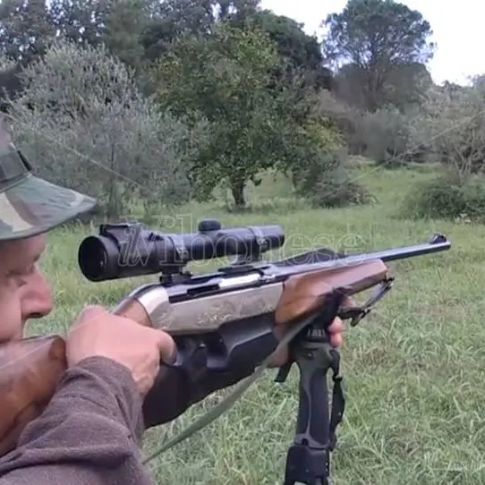 Cinghiali, l’Ambito territoriale Vibo1 “arma” i proprietari di fondi agricoli