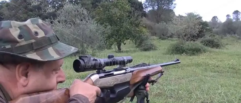 Cinghiali, l’Ambito territoriale Vibo1 “arma” i proprietari di fondi agricoli