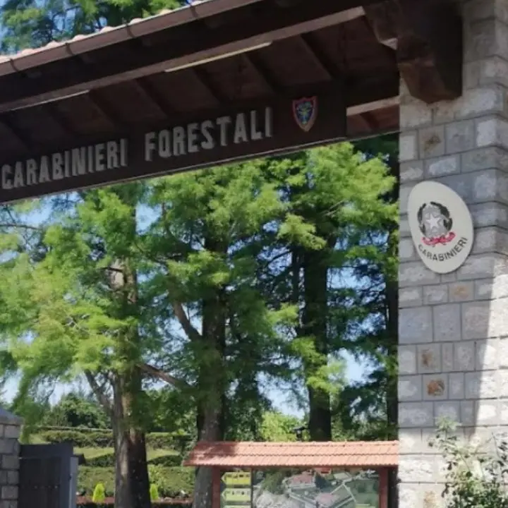 Laboratori, escursioni e visite guidate: a Mongiana tutto pronto per la festa della biodiversità