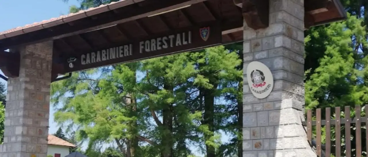 Laboratori, escursioni e visite guidate: a Mongiana tutto pronto per la festa della biodiversità