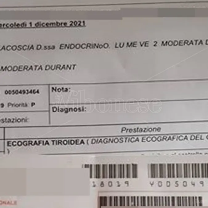 Vibo, liste d’attesa infinite: ecografia tiroidea prenotata a dicembre 2021