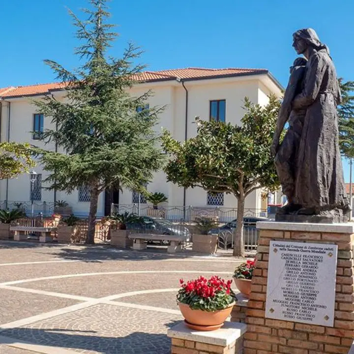 Zambrone, il Comune abbatte sette alberi risultati a rischio crollo e li sostituisce con nuove piantumazioni