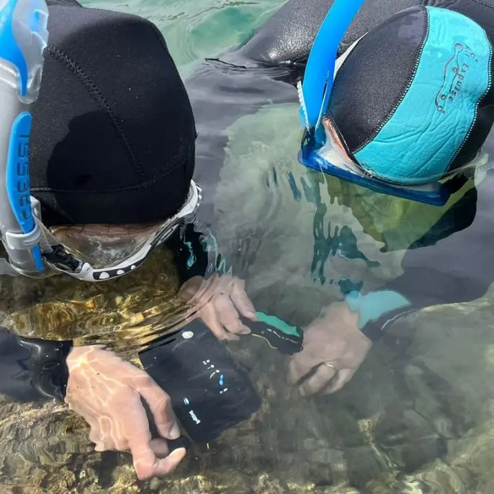 Un giorno da biologo marino: a Vibo la prima edizione di Biowatching nel Blu dove tutti possono diventare ricercatori
