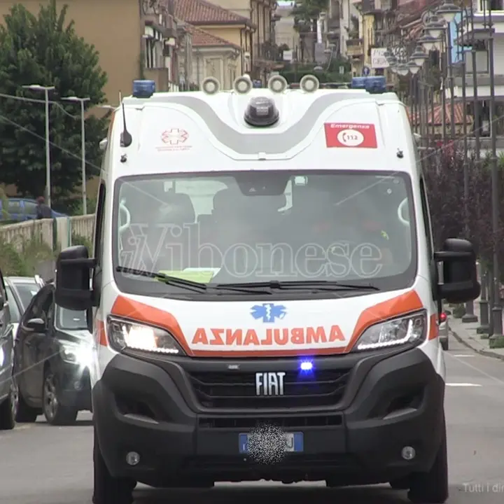 Ferrandina, quercia crolla su auto: un morto e tre feriti gravi\n