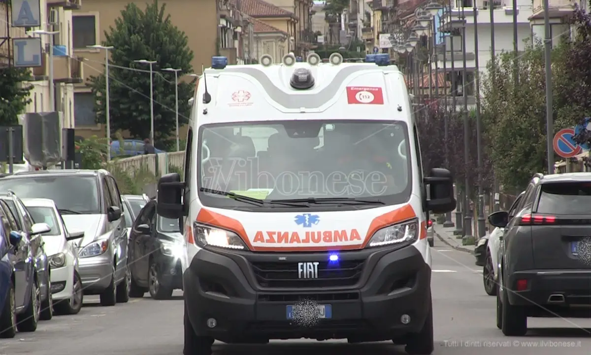 Ferrandina, quercia crolla su auto: un morto e tre feriti gravi\n