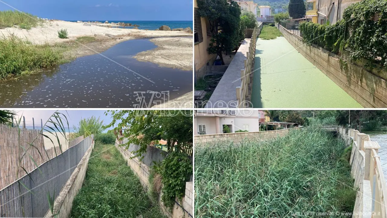 I torrenti del disastro ambientale di Bivona: Sant'Anna, Tomarchiello, Bravo e Antonucci dopo un'estate da dimenticare - VIDEO